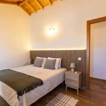 Ti Choa - Ninho Dos Avos