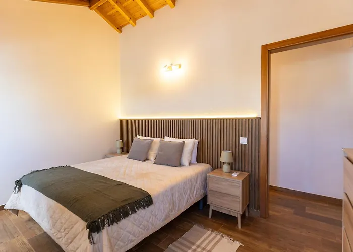 Ti Choa - Ninho Dos Avos