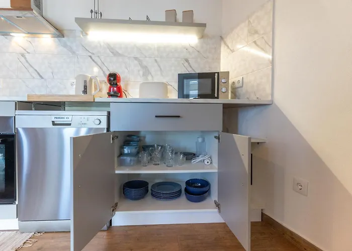 Ti Choa - Ninho Dos Avos